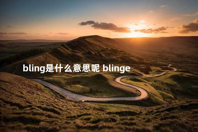 bling是什么意思呢 blingee汉语什么意思